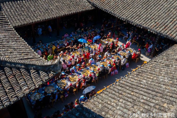 绿色森林里的美丽乡村(11)