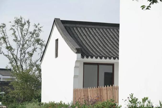 这60个中国最美乡村改造案例，告诉你乡村振兴怎么搞！(40)