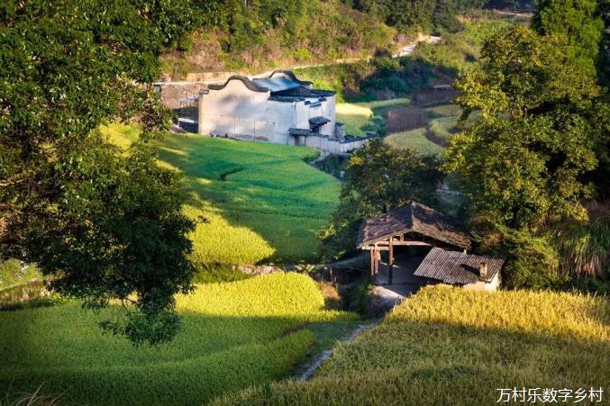 这60个中国最美乡村改造案例，告诉你乡村振兴怎么搞！(84)