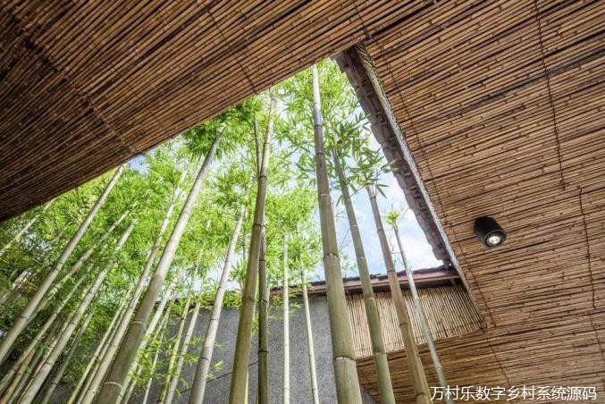 这60个中国最美乡村改造案例，告诉你乡村振兴怎么搞！(99)