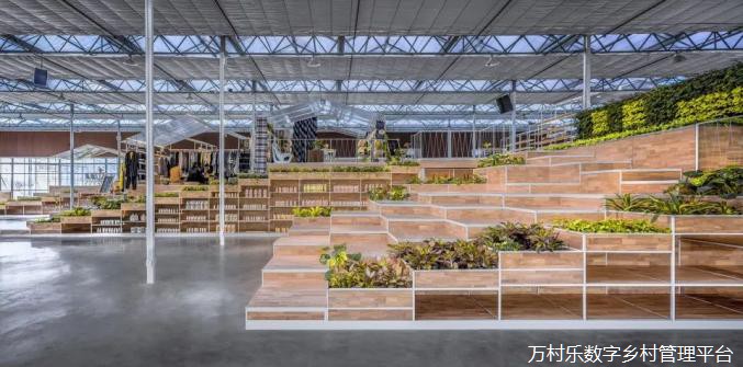 这60个中国最美乡村改造案例，告诉你乡村振兴怎么搞！(244)