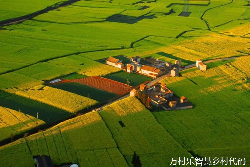 学习贯彻党的二十届三中全会精神