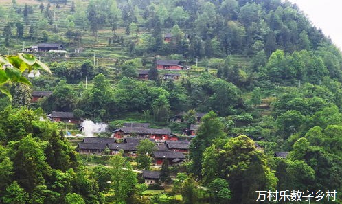 农业智慧化引领乡村振兴之路：数字化教育资源与产业发展策略探究