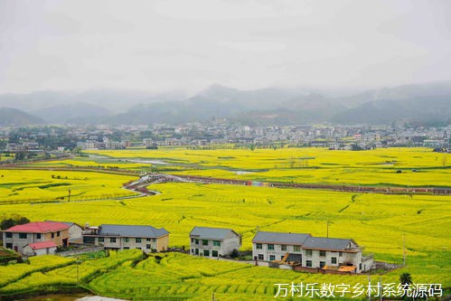 社会组织倾情助力贵州乡村振兴