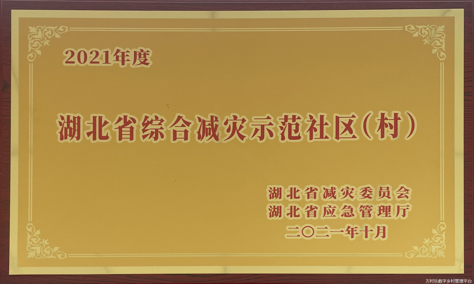 打好“乡贤+”组合牌 孝南这个村绘出和美乡村新画卷(7)