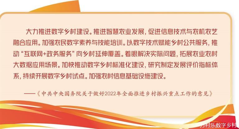 数字乡村建设成效分析与关键问题(1)