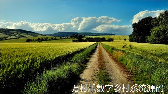 农村文化建设与乡村振兴的精神内涵探析