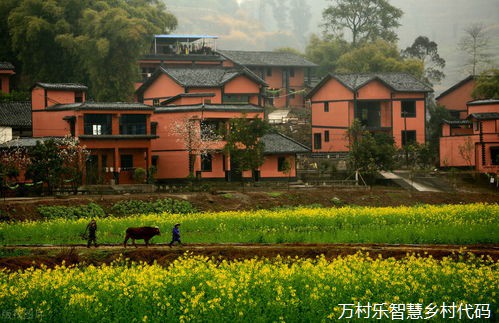 宁夏农村信息化建设的现状及发展建议.docVIP 宁夏农村信息化建设的现状及发展建议.docVIP