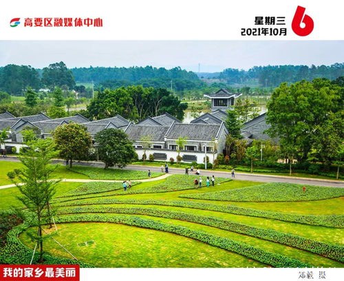 宁夏农村信息化建设的现状及发展建议.docVIP 宁夏农村信息化建设的现状及发展建议.docVIP
