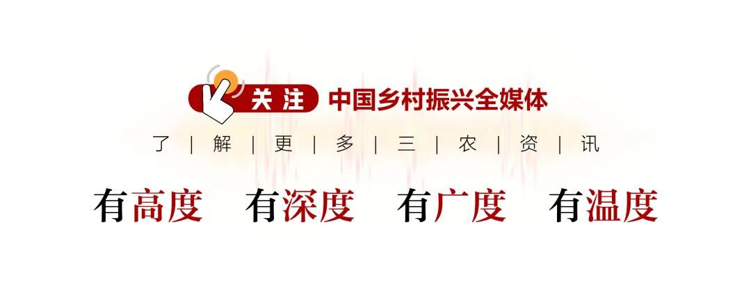 和美乡村应是这般模样(8)