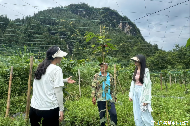湖南师范大学法学院研究生赴桑植县龙潭坪镇暑期社会实践团：聚力红色法治，赋能乡村振兴(12)