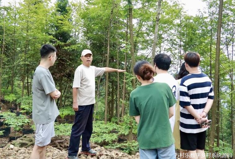 湖南师范大学法学院研究生赴桑植县龙潭坪镇暑期社会实践团：聚力红色法治，赋能乡村振兴(11)