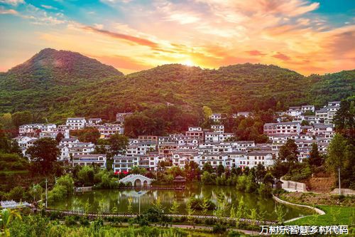 农业机械化进程中的发展、挑战与前景：以乡村经济与农民增收为核心