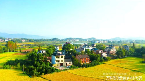 农村环境治理：迈向生态宜居的美丽乡村之路