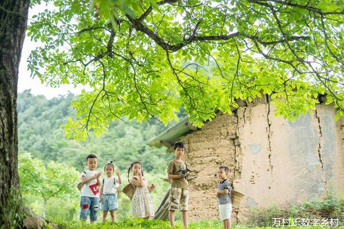 农村环境治理：迈向生态宜居的美丽乡村之路