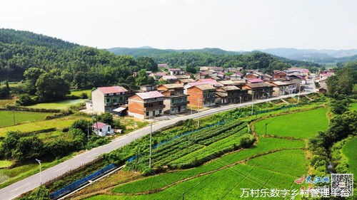 农业农村现代化之路:探索乡村振兴的实践路径 农业农村现代化之路:探索乡村振兴的实践路径