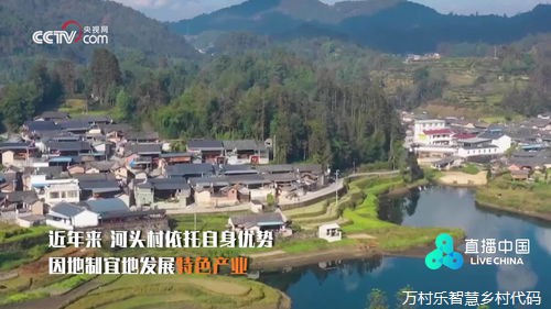 农业农村现代化之路:探索乡村振兴的实践路径 农业农村现代化之路:探索乡村振兴的实践路径